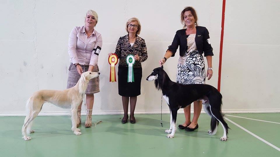 Judge Annika Ulltveit-Moe, Sweden BOB, CAC, CACIB and Norwegian champion!!