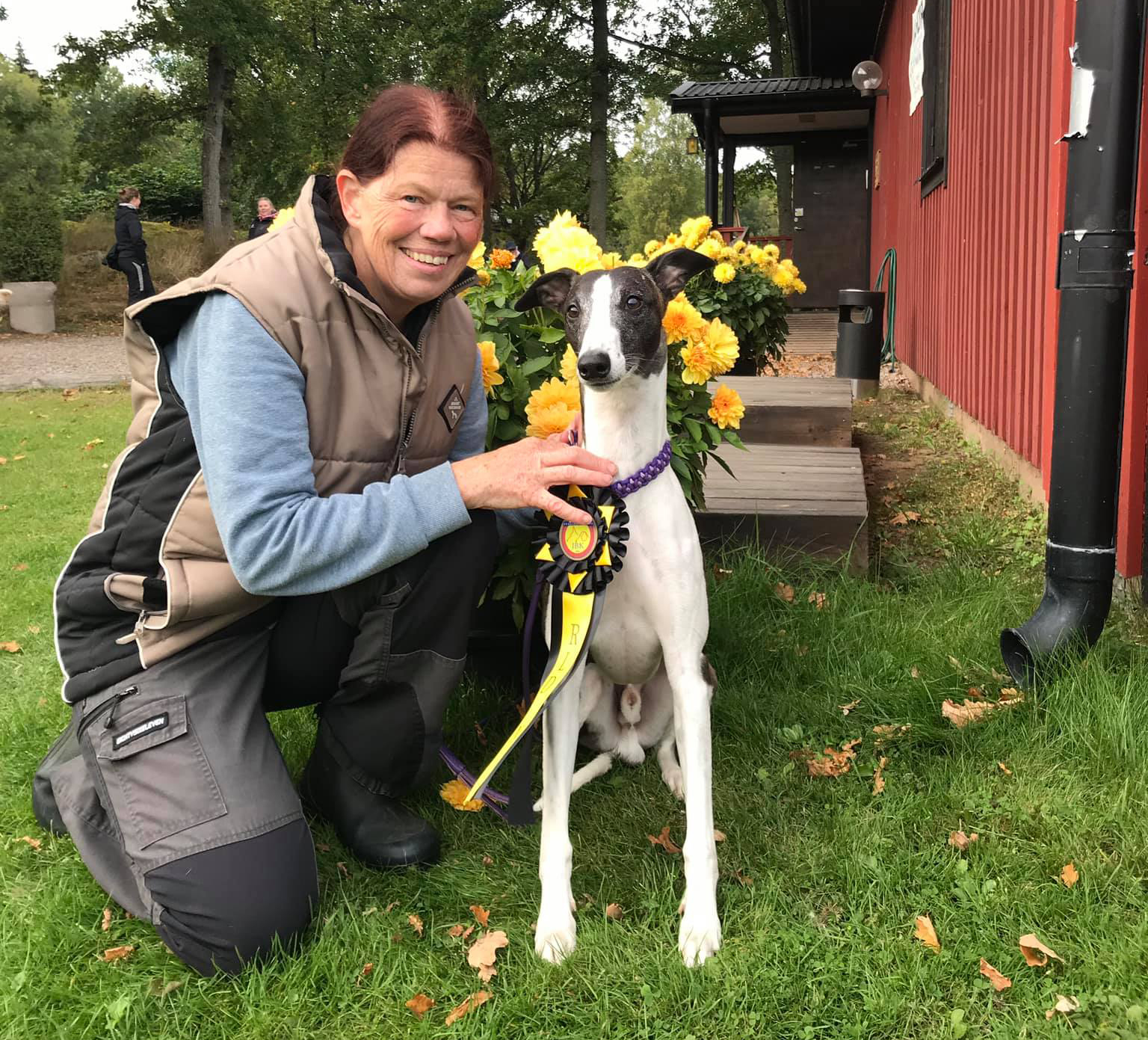 Emoticon The Black Dragon – results