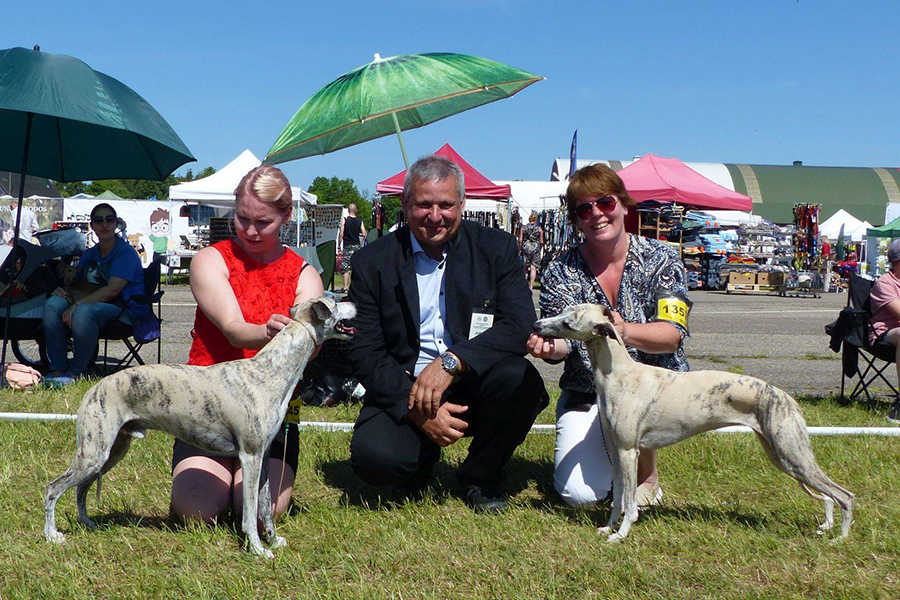 BOS, CAC, CACIB Judge Vladimir Piskay, Slovakia