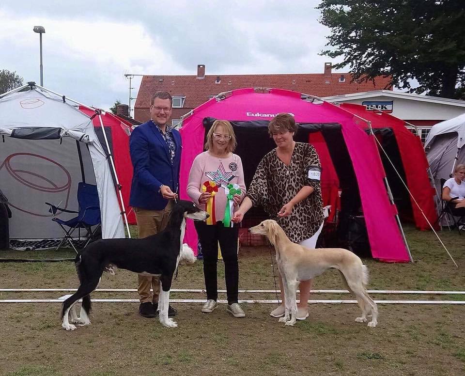 We spent the weekend at the lovely island Bornholm, Denmark. Yoshi won BOS, CAC and CACIB both days! Yoshi is now 18 months old ans already has 5 CAC and 5 CACIB in three different countries. Extremely proud! Merlin won BOS veteran and 2 Danish veteran CAC, so he is now Danish Veteran Champion :D