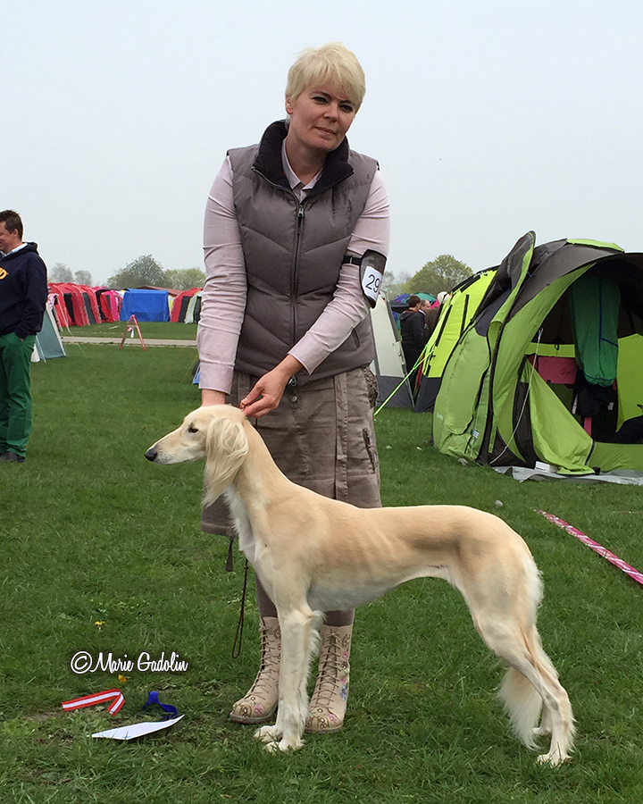 Judge Kitty Sjong, Denmark 2nd best bitch with CAC, res-CACIB and the DANISH champion title!