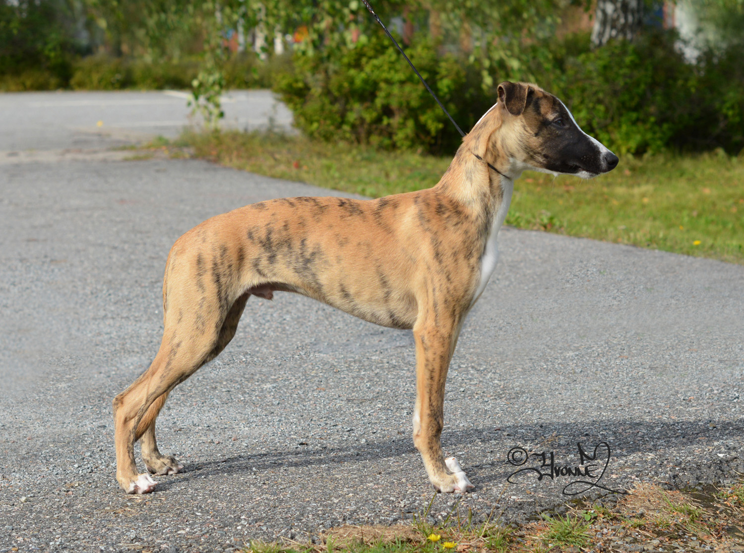16 weeks