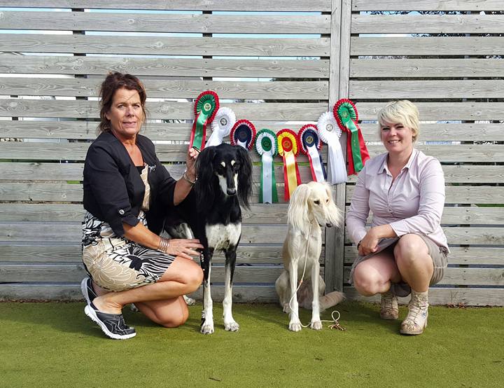 Saga and Liam - brand new Norwegian champions =)