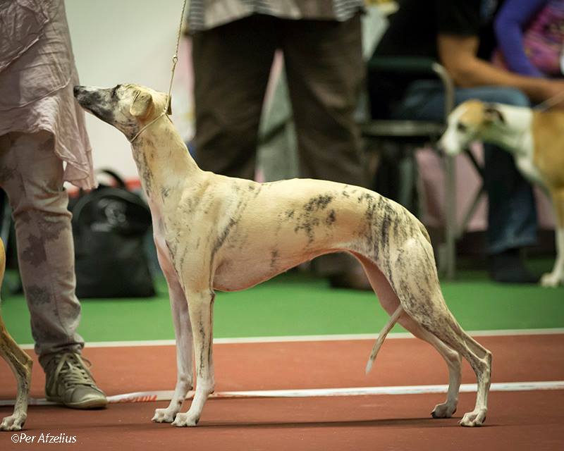 Grace being pretty ;) Thanks to Per for the photos.