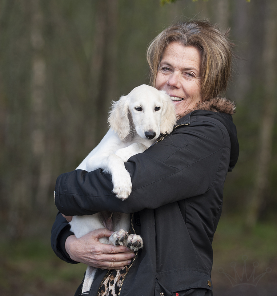 And Falkor has moved to his new home in Ekeby, southern Sweden, with Gunilla & Mikael Skafar. I already miss them. And so does Yoshi. She can't understand why her siblings are gone!
