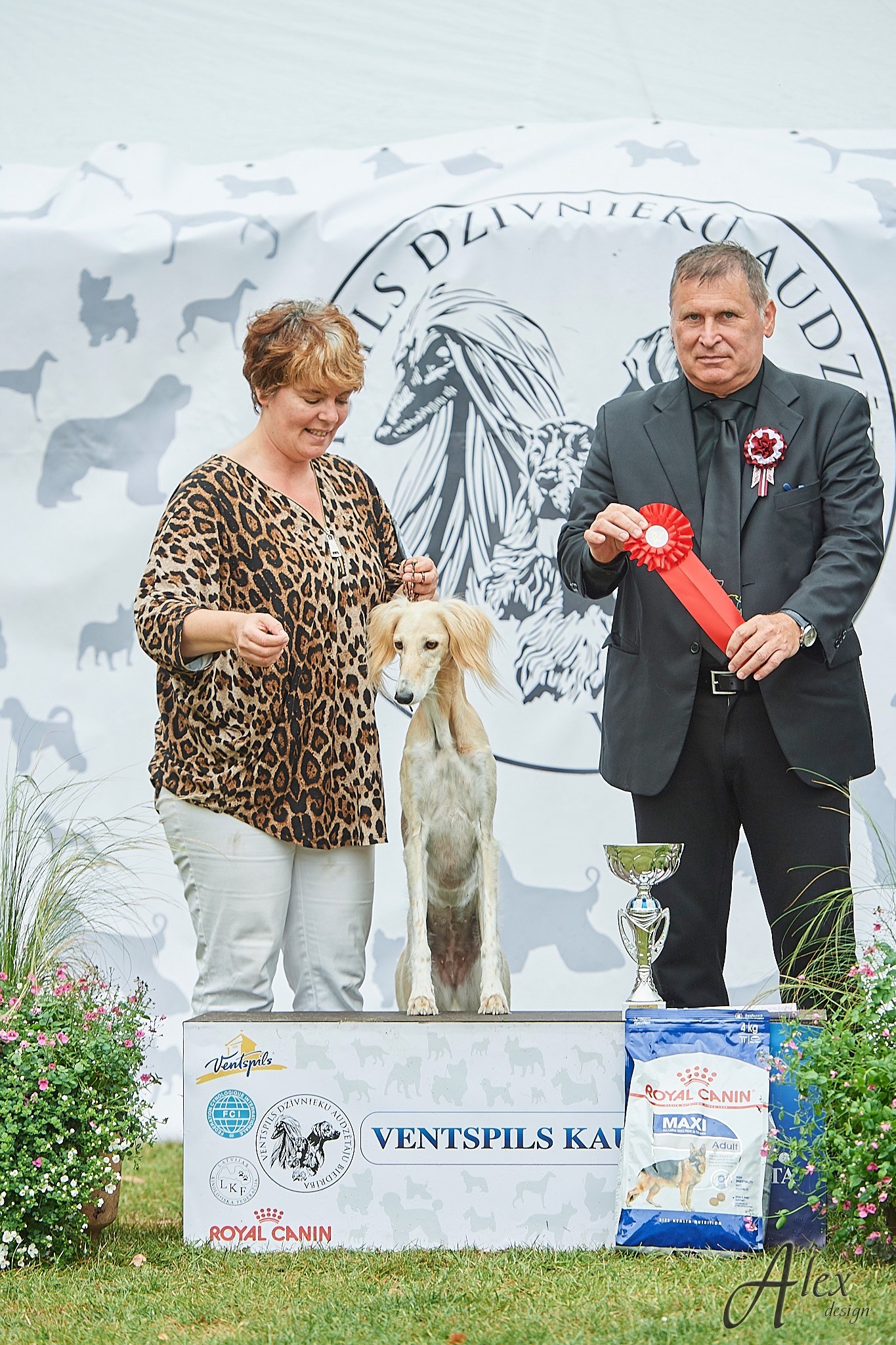 Yoshi wins the group