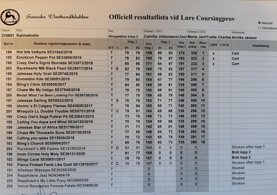 Daria and Celina started their first lure coursing trials. Daria was 2nd with CAC!!