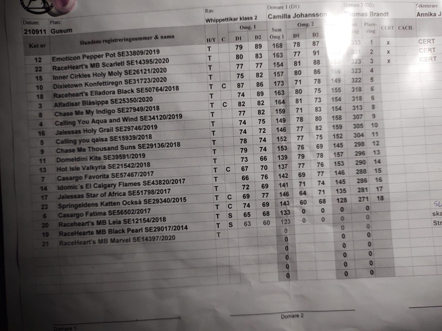 Daria started her second lure coursing trial and won! She also gained her 2nd CAC. Celina was in season, so she could not participate. Skorpan started his first rally obedience competition with a 3rd place and a 5th place!